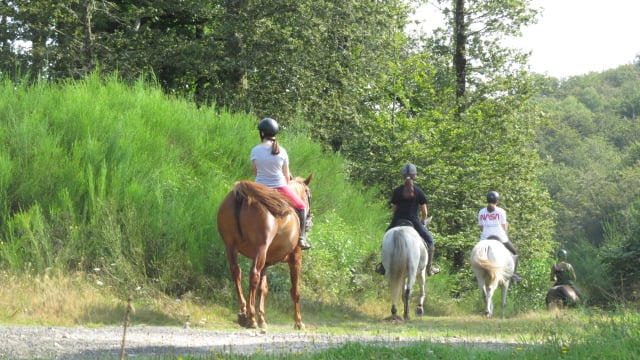 Séjours et stages d'équitation pour enfants en Nouvelle Aquitaine