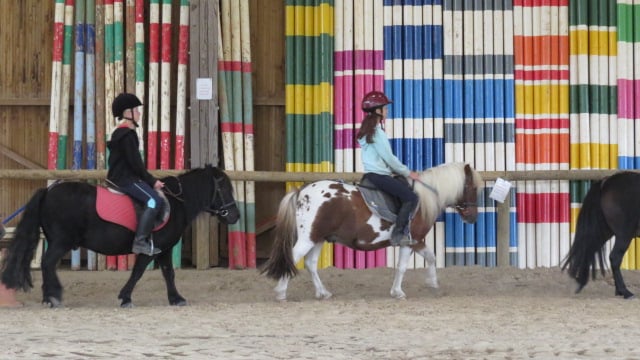 Centre équestre cours d'équitation et pension Nouvelle Aquitaine